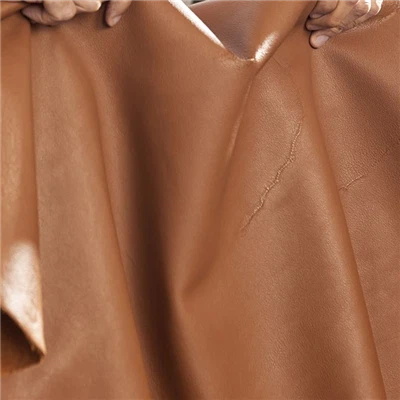 가죽 치장 벽토